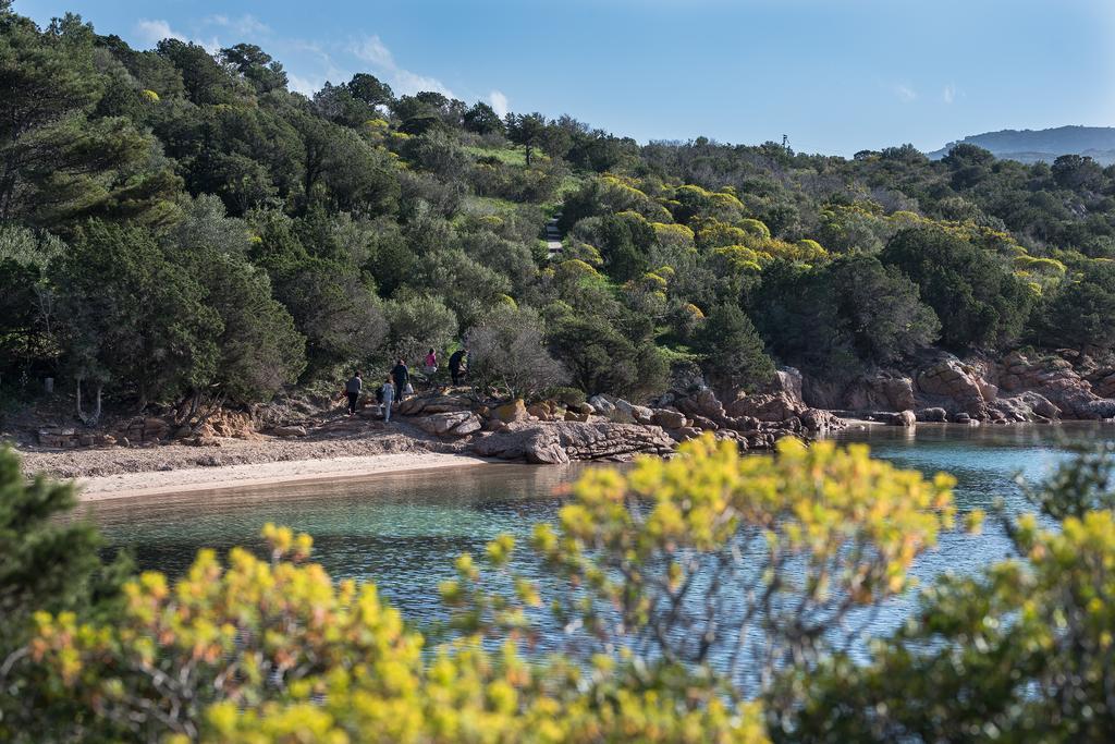 Ollastu 4* Olbia