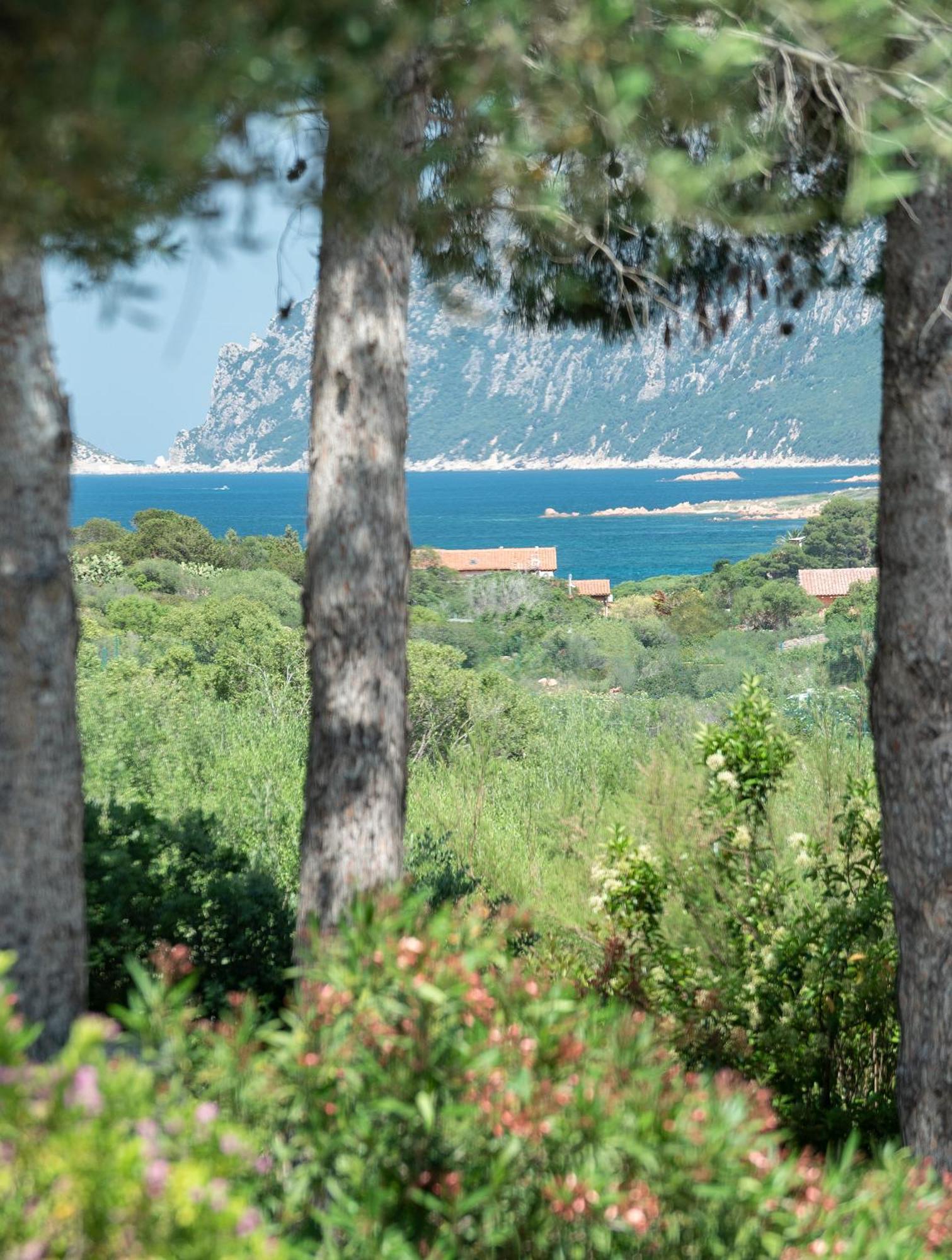 Hotel Ollastu Olbia