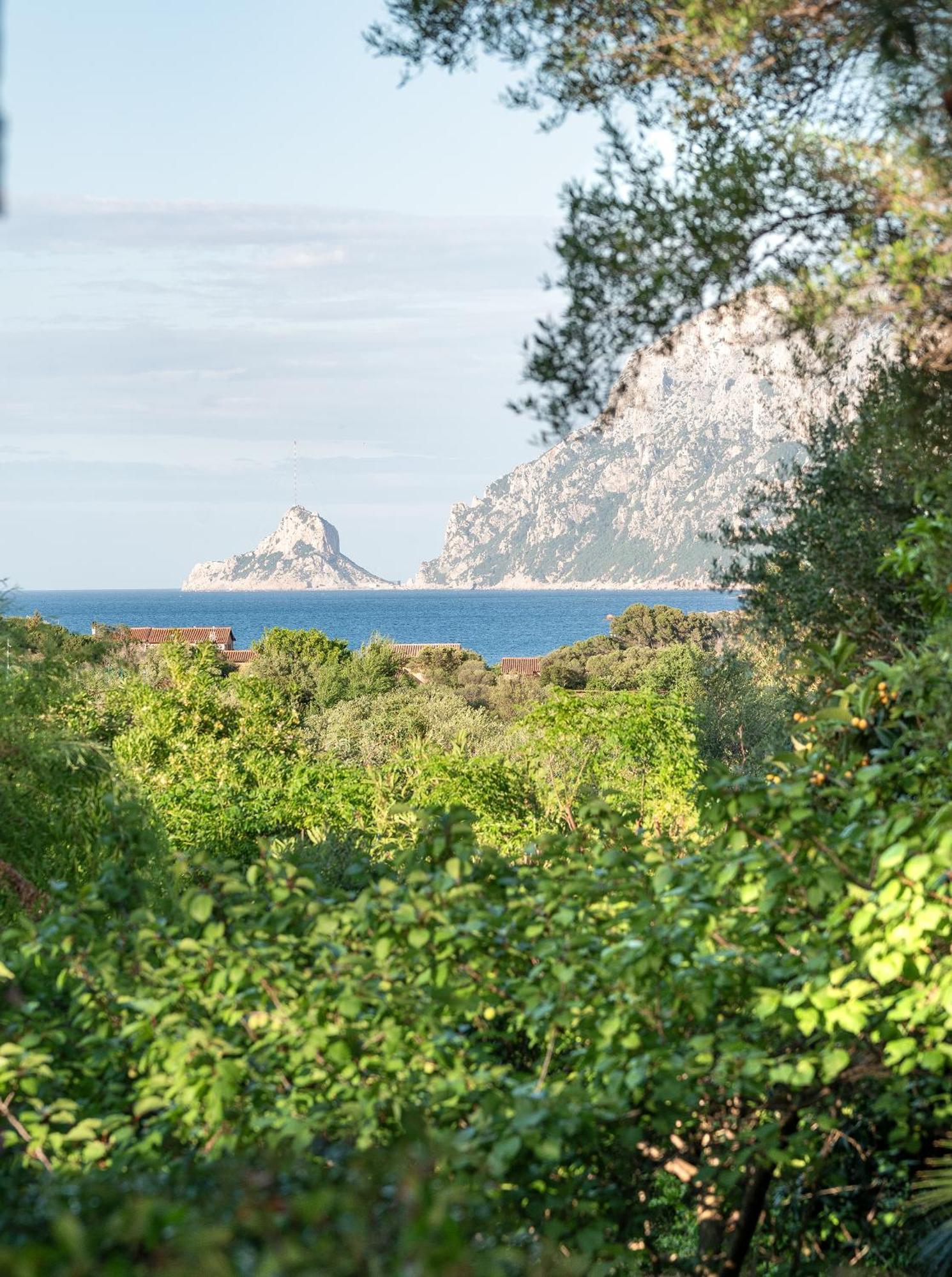 Ollastu Olbia