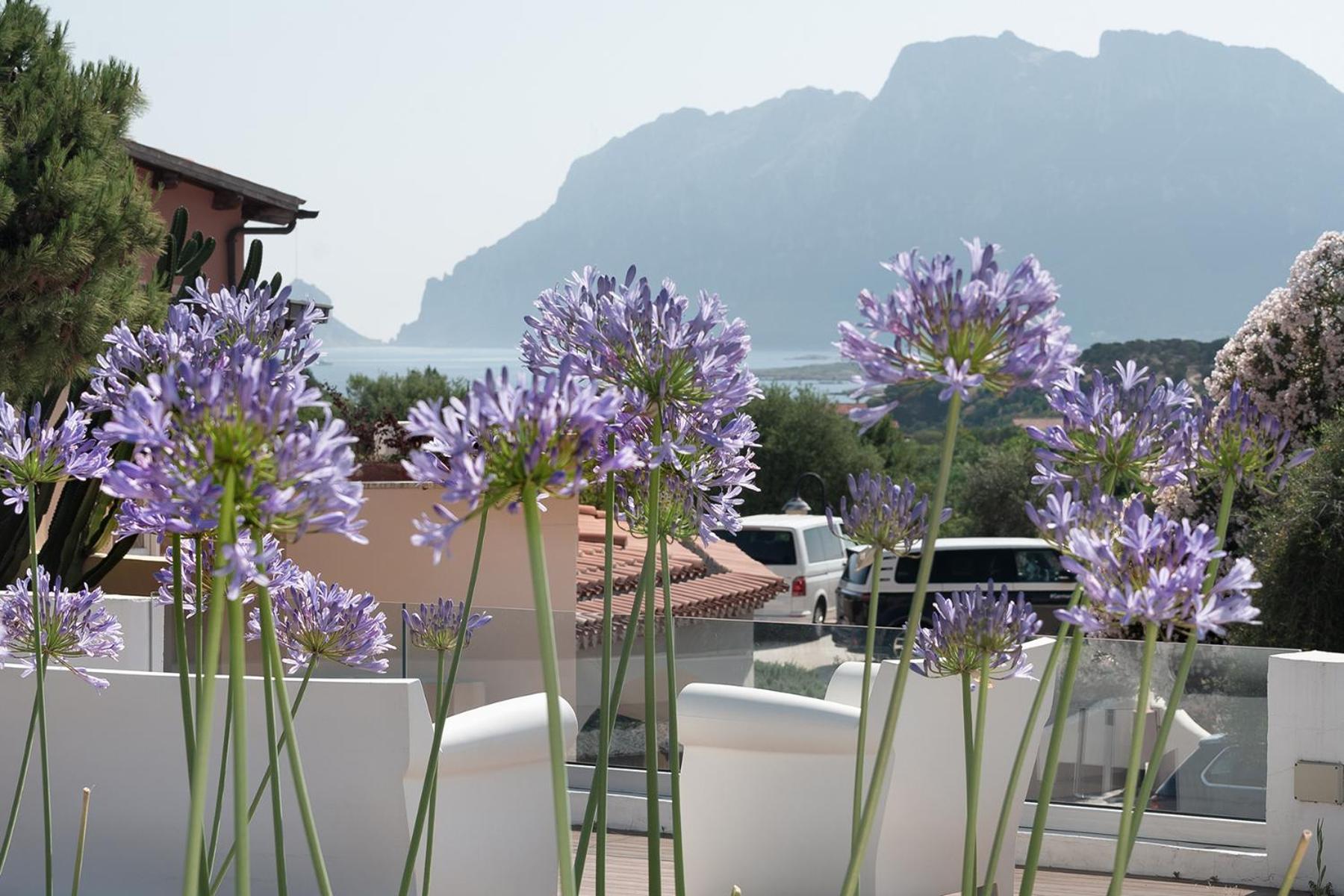 Ollastu Hotel