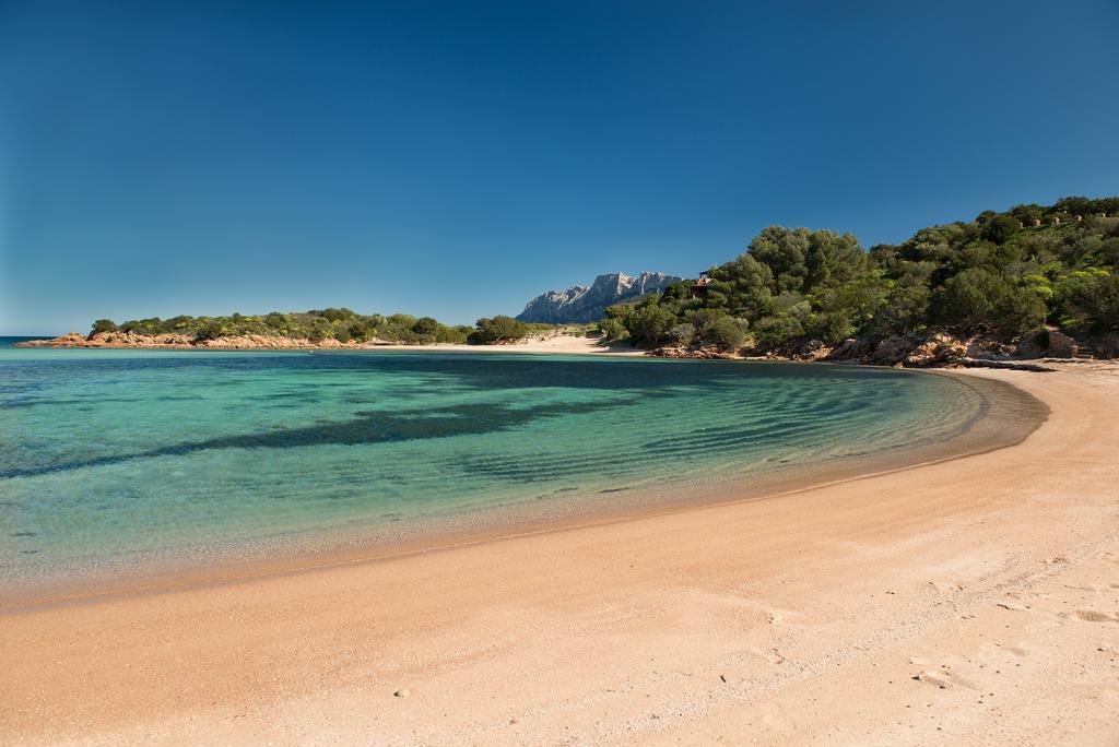 Ollastu Olbia